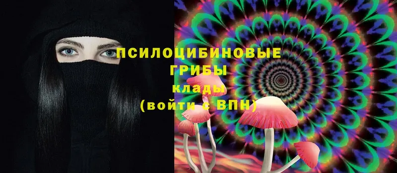 Галлюциногенные грибы MAGIC MUSHROOMS  закладки  Петровск-Забайкальский 